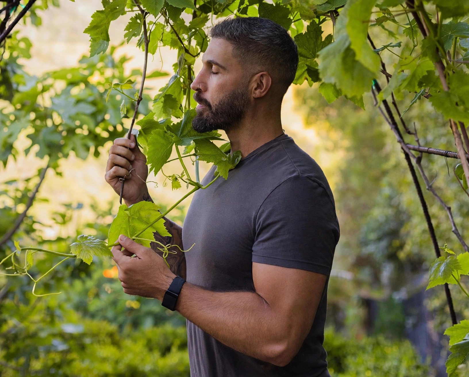 What Chervin Jafarieh learned from soil and sickness and sourcing