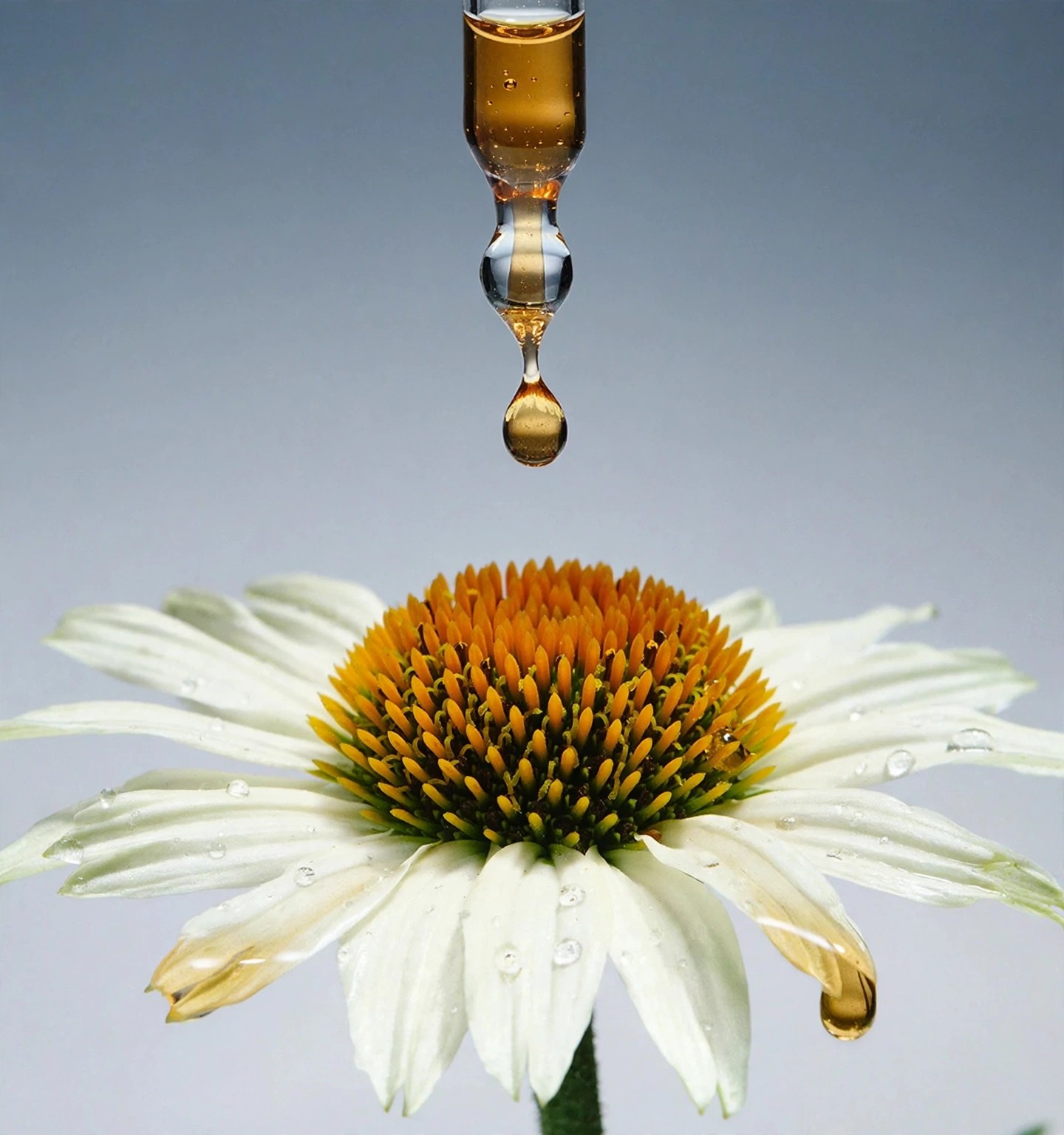 Botanical ingredient photographed as a drop falls on flower.